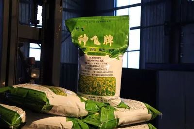 我县神飞生物科技股份签订超千万元大单，引领复合微生物肥料研发新篇章
