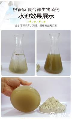 土传病害的绿色克星 复合微生物菌剂与生物有机肥的创新研发与应用