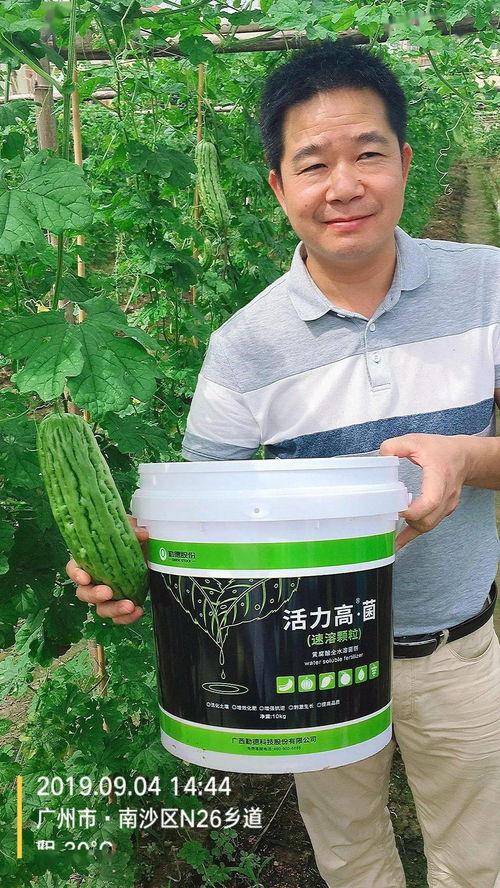 三效合一，增效显著 活力高R菌、黄腐酸、鱼蛋白复合菌剂引领微生物肥料新突破