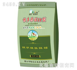 根多果旺II型 复合微生物肥料技术研发与农业应用解析